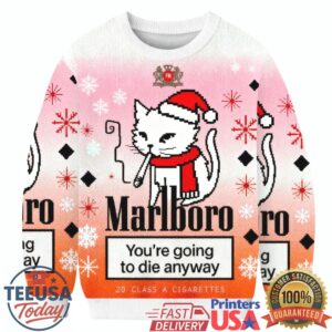 Funny Soming Cat Christmas Ugly Sweatershirt