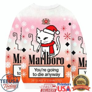 Funny Soming Cat Christmas Ugly Sweatershirt