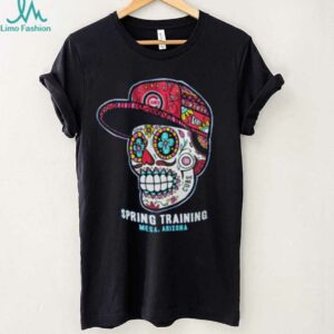 Chicago Cubs Skull Spring Training Mesa, AZ Royal New Era T Shirt
