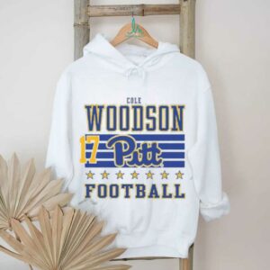 Cole Woodson Rally Mens Ash Pitt Panthers NIL Striped Player T Shirt