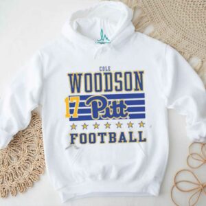 Cole Woodson Rally Mens Ash Pitt Panthers NIL Striped Player T Shirt