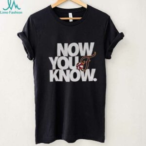 Now You Know Indiana Fever Basketball WNBA logo gift for fans shirt