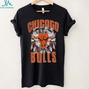 Pro Standard Bulls Shattered Backboard T Shirt