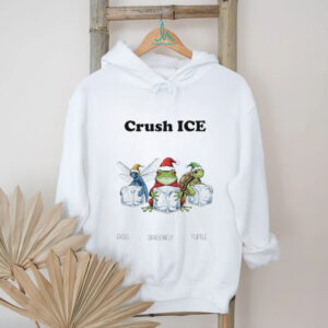 Crush ICE Anti Trump FDT Frog Dragonfly Turtle Christmas shirt