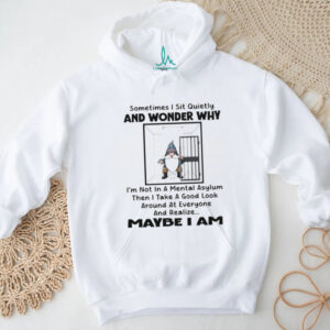 Gnome sometimes I sit quietly and wonder why I’m not in a mental asylum then I take a good look around shirt