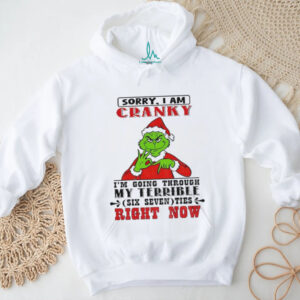 Grinch sorry I am cranky I’m going through my terrible six seven ties right now Christmas shirt