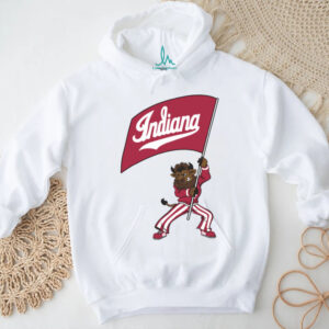 Indiana Hoosiers Merch Hoosier The Bison Flag T Shirt