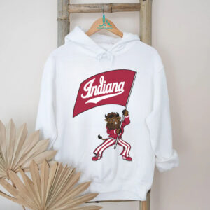 Indiana Hoosiers Merch Hoosier The Bison Flag T Shirt