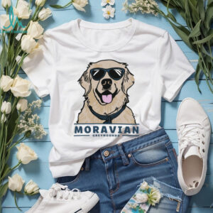 Official Moravian Greyhounds ComfortWash Dog Hoodie