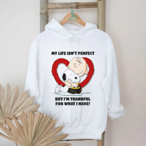 Classic Snoopy and Charlie Brown My Life Isn't Perfect T Shirt