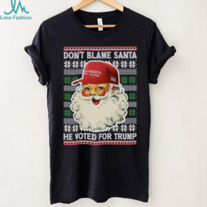 Don't Blame Santa He Voted For Trump Ugly Sweater, Republican Shirt, Trump 2024 Shirt, Trump Supporters Christmas Shirt T1399
