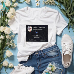 Gavin C Newsom Marked Safe From Epstein Files shirt