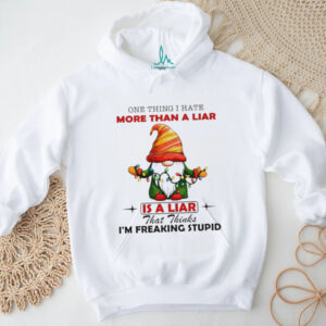 Gnome one thing I hate more than a liar is a liar that thinks I’m freaking stupid Christmas shirt