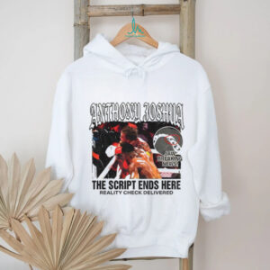 Anthony Joshua KO Jake Paul the script ends here reality check delivered shirt