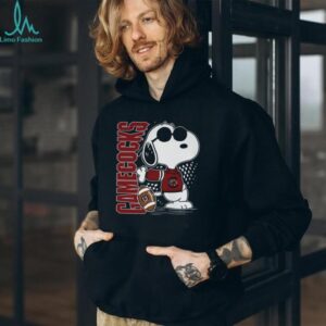 Official Snoopy Fan South Carolina Gamecocks T Shirt