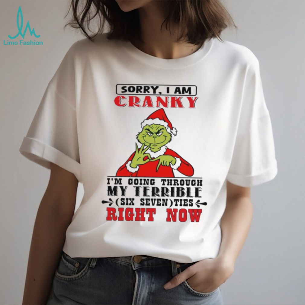 Sorry I Am Cranky I’m Going Through My Terrible Ties Right Now T Shirt Sorry I Am Cranky I’m Going Through My Terrible Ties Right Now T Shirt