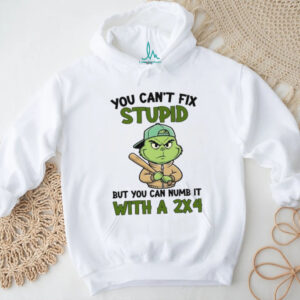 You Can't Fix Stupid But You Can Numb It With A 2X4 T Shirt