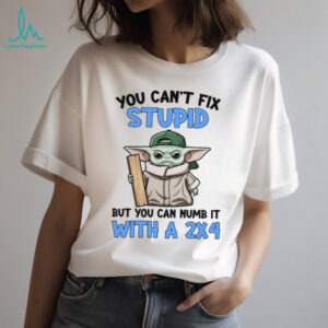 You Can't Fix Stupid But You Can Numb It With A 2X4 T Shirt