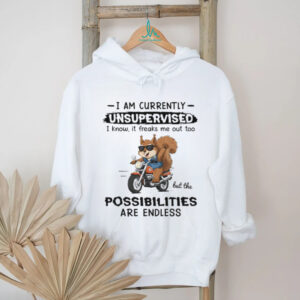 I Am Currently Unsupervised Squirrel Shirt