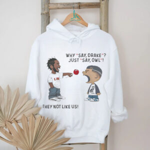 Kendrick Lamar Why Say Drake Just Say Owl They not Like Us Shirt Kendrick Lamar Why Say Drake Just Say Owl They not Like Us Shirt