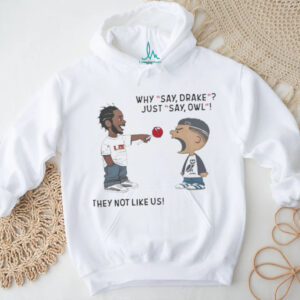 Kendrick Lamar Why Say Drake Just Say Owl They not Like Us Shirt