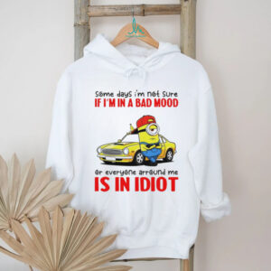Minion some days I’m not sure if I’m in a bad mood or everyone around me is in idiot shirt