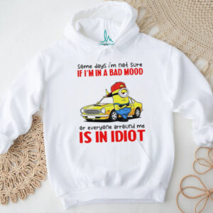Minion some days I’m not sure if I’m in a bad mood or everyone around me is in idiot shirt