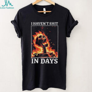 I Haven't Shit In Days Flaming Skeleton Funny Meme T Shirt