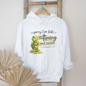 Christian Turtle Sorry I'm Late His Timing Not Mine Ecclesiastes 31 T Shirt
