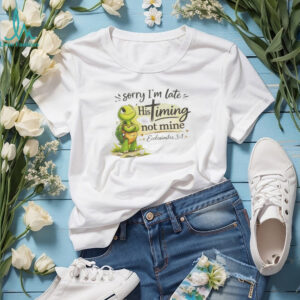Christian Turtle Sorry I'm Late His Timing Not Mine Ecclesiastes 31 T Shirt