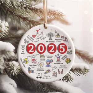 2025 Christmas Ornament Funny 2025 Year in Review Ornament Year to Remember Commemorative Ornament