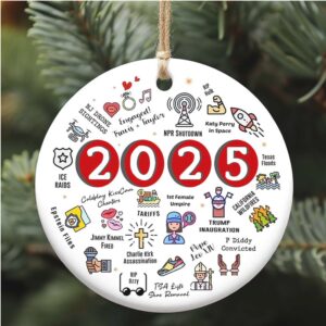2025 Christmas Ornament Funny 2025 Year in Review Ornament Year to Remember Commemorative Ornament