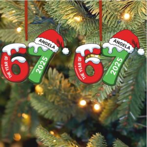 Christmas Dog Photo Acrylic Ornament Personalized Custom Dog Cat Pet Photo Ornaments