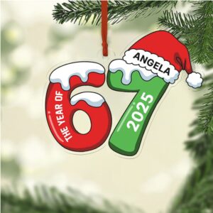 Christmas Dog Photo Acrylic Ornament Personalized Custom Dog Cat Pet Photo Ornaments