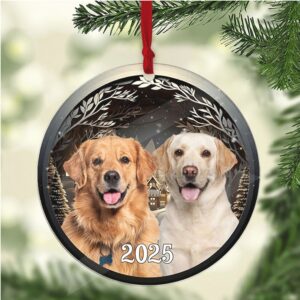 Christmas Night Dog Photo 2D Flat Acrylic Ornament, Custom Personalized Dog Cat Photo Upload Christmas Ornament