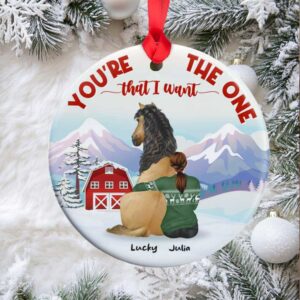 Horse You’re The One That I Want, Personalized Ceramic Ornament Horse You’re The One That I Want, Personalized Ceramic Ornament