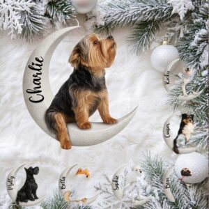 I Love You to the Moon and Back Pet Memorial Ornament