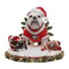 Focus on the visual appeal and brilliance of the ornament Focus on the visual appeal and brilliance of the ornament