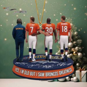 Official NFL Detroit Lions Customizable Jersey Ornaments Official NFL Detroit Lions Customizable Jersey Ornaments