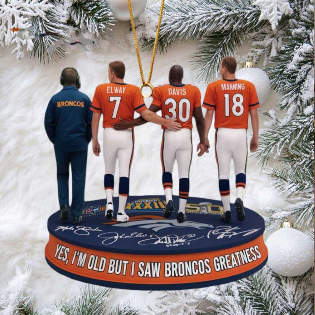 Official NFL Detroit Lions Customizable Jersey Ornaments Official NFL Detroit Lions Customizable Jersey Ornaments