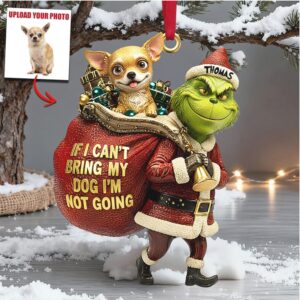 Personalized Grinch Dog Christmas Ornament