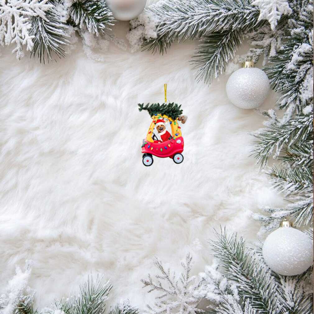 Personalized Pet in Cozy Coupe Christmas Ornament Personalized Pet in Cozy Coupe Christmas Ornament
