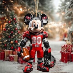 Personalized Tampa Bay Team Buccaneerss Sport Christmas Ornament, For Fan