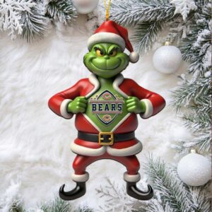 Chicago Bears The Grinch x Christmas Acrylic Ornament.jfif