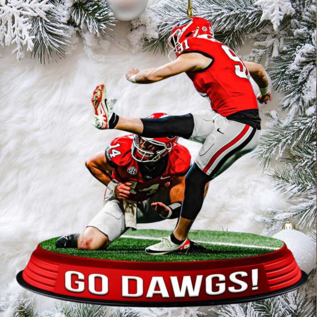 Georgia Bulldogs Christmas Ornament - Go Dawgs Football Tree Decor on a Christmas tree