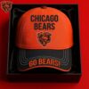 Detroit Lions Classic Blue and Black Snapback Cap Detroit Lions Classic Blue and Black Snapback Cap