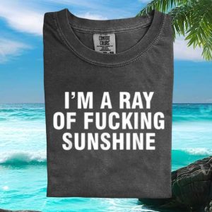 Sarcastic Funny Quote Ray Of Fucking Sunshine Adult T Shirt