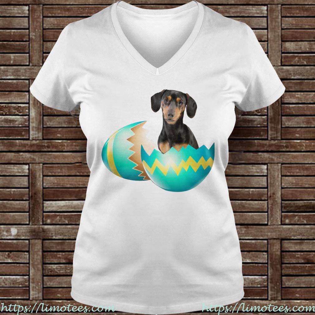 Dog Easter Cute Dachshund Egg Gift