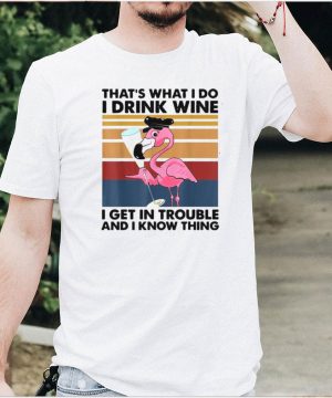 Flamingo Thats What I Do I Drink Wine I Get In Trouble And I Know Things Vintage T shirt