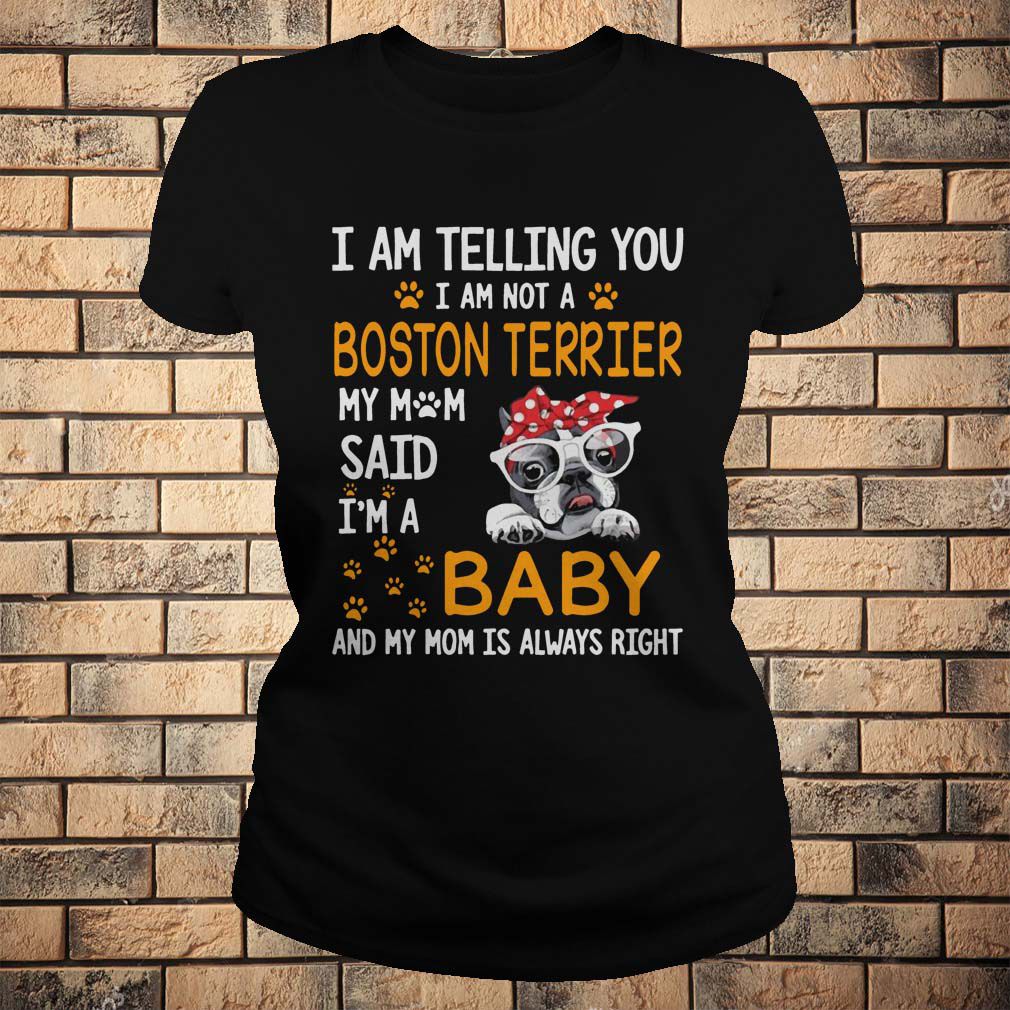 I am telling you I am not a Boston terrier my mom said i’m a baby and my mom is always right